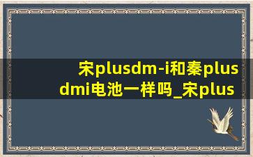 宋plusdm-i和秦plusdmi电池一样吗_宋plus dmi与秦plus dmi区别